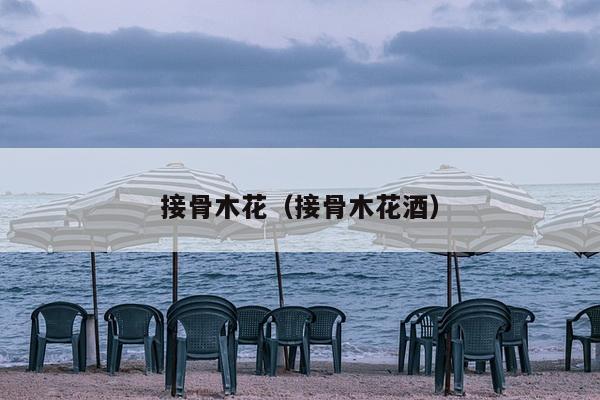 接骨木花（接骨木花酒）