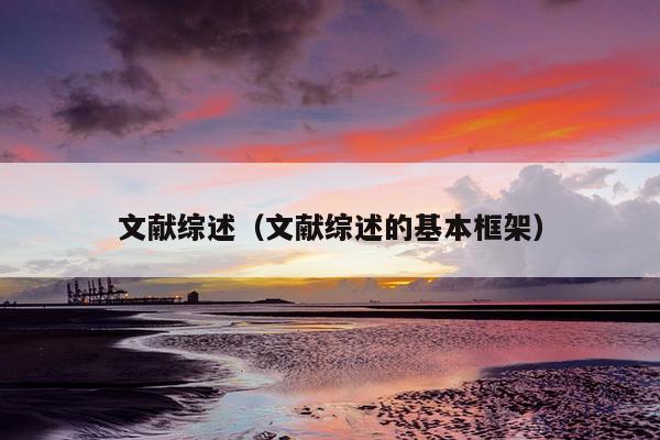 文献综述（文献综述的基本框架）