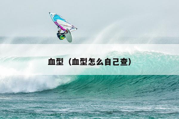 血型（血型怎么自己查）