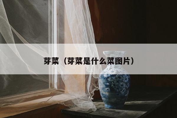 芽菜（芽菜是什么菜图片）