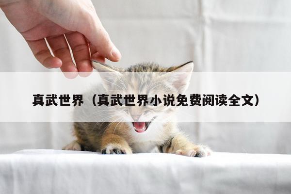 真武世界（真武世界小说免费阅读全文）