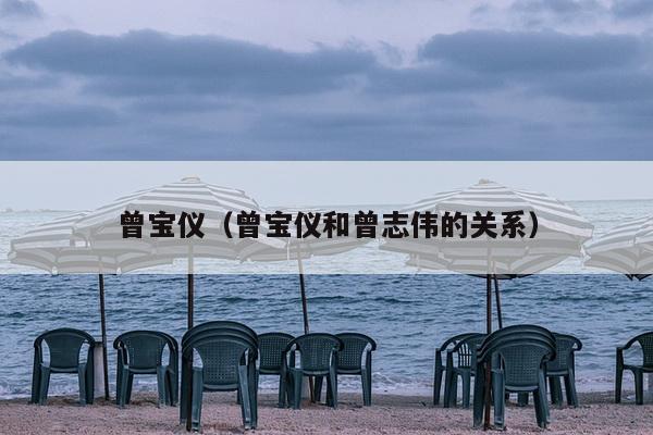 曾宝仪（曾宝仪和曾志伟的关系）