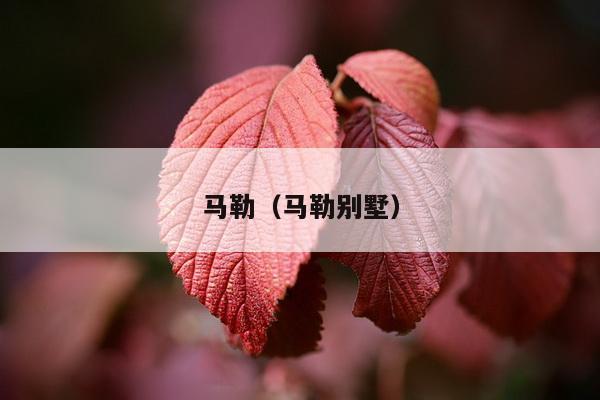 马勒（马勒别墅）