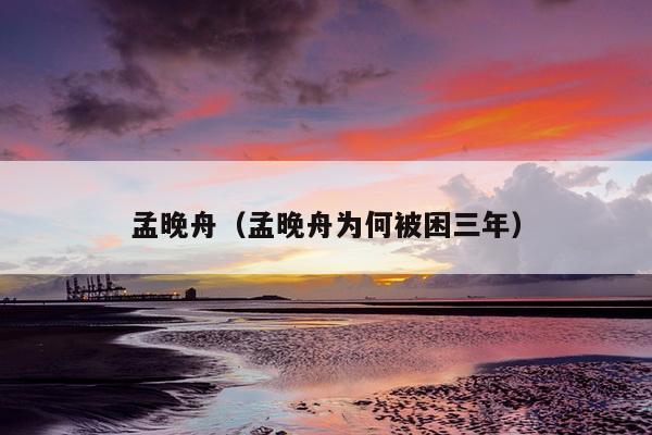 孟晚舟（孟晚舟为何被困三年）