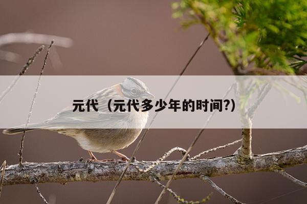 元代（元代多少年的时间?）