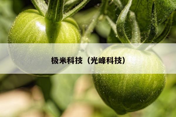 极米科技（光峰科技）