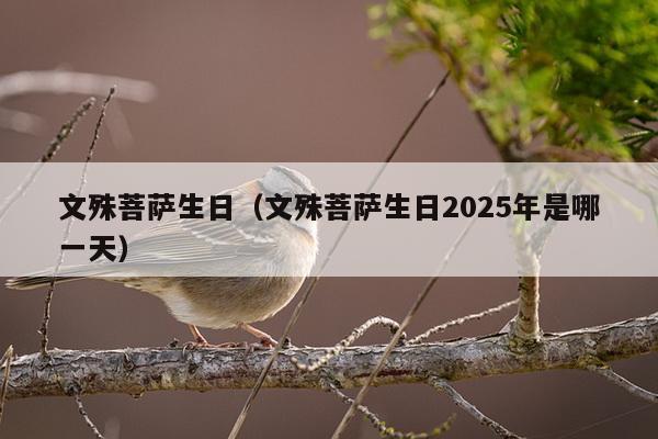 文殊菩萨生日（文殊菩萨生日2025年是哪一天）