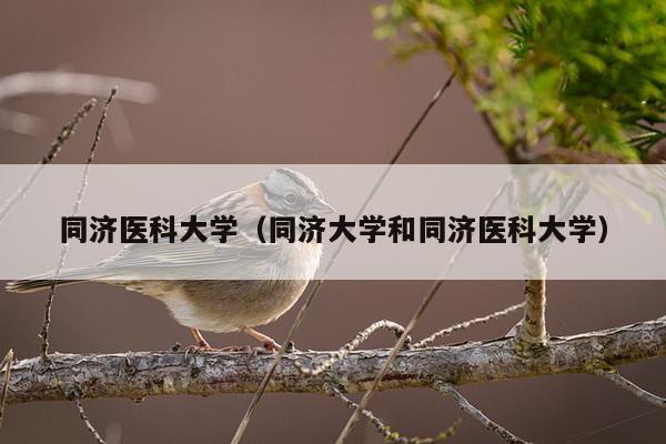 同济医科大学（同济大学和同济医科大学）