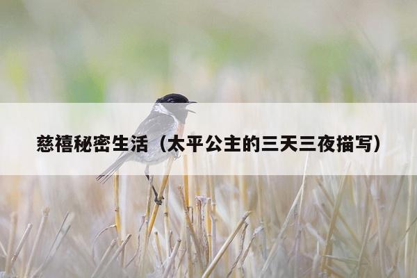 慈禧秘密生活（太平公主的三天三夜描写）