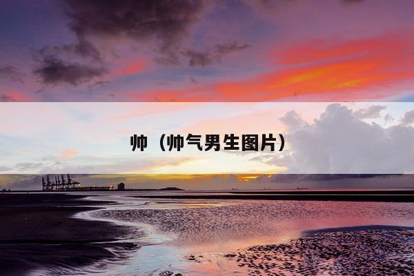 帅（帅气男生图片）