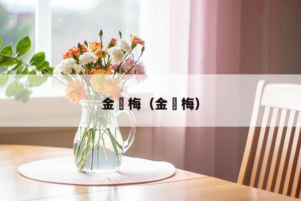 金甁梅（金甁梅）