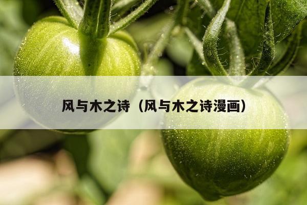 风与木之诗（风与木之诗漫画）