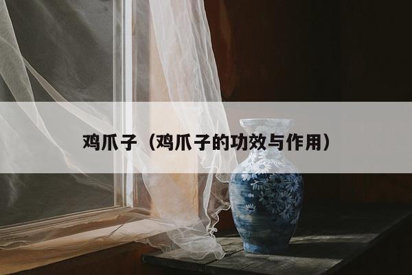 鸡爪子（鸡爪子的功效与作用）