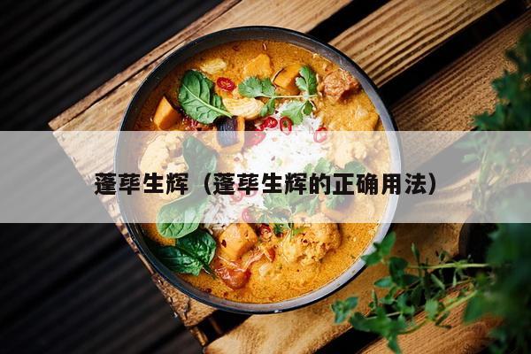蓬荜生辉（蓬荜生辉的正确用法）