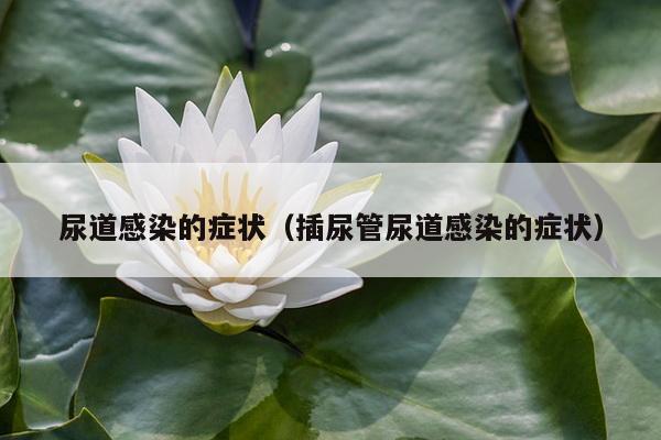 尿道感染的症状（插尿管尿道感染的症状）