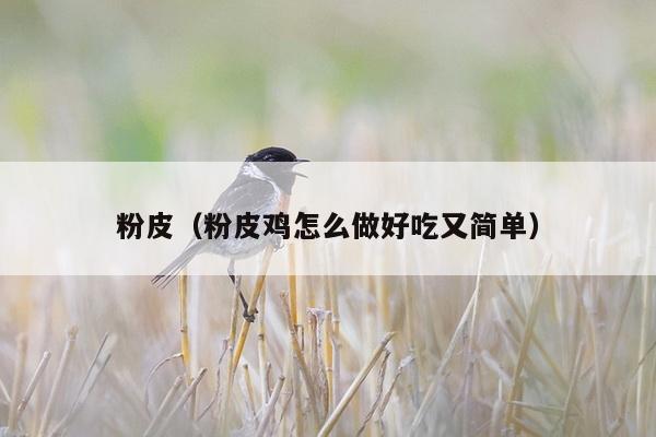粉皮（粉皮鸡怎么做好吃又简单）