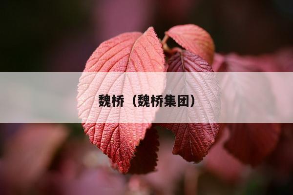 魏桥（魏桥集团）
