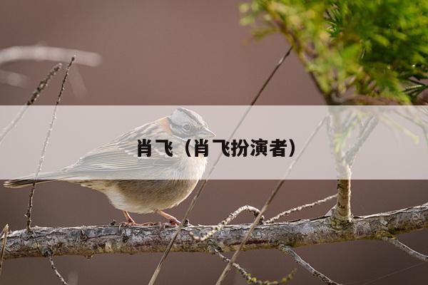 肖飞（肖飞扮演者）