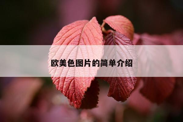 欧美色图片的简单介绍