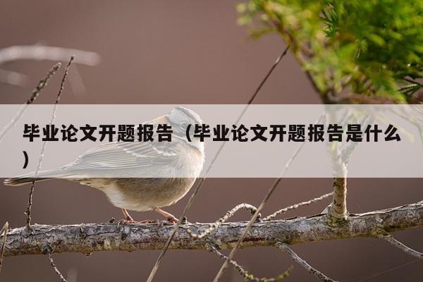 毕业论文开题报告（毕业论文开题报告是什么）