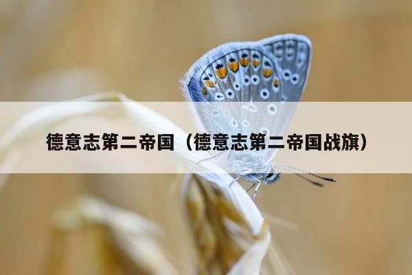 德意志第二帝国（德意志第二帝国战旗）