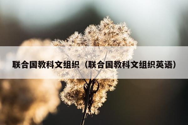 联合国教科文组织（联合国教科文组织英语）