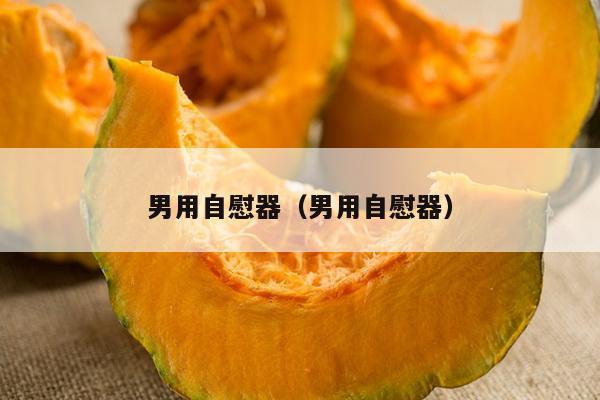 男用自慰器（男用自慰器）