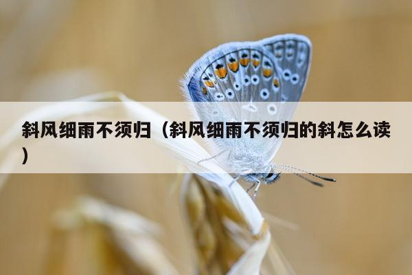 斜风细雨不须归（斜风细雨不须归的斜怎么读）