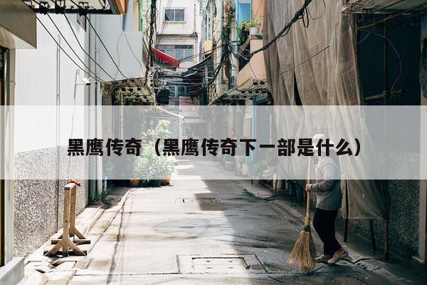 黑鹰传奇（黑鹰传奇下一部是什么）