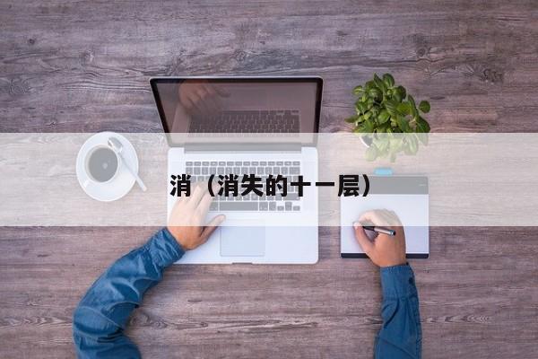 消（消失的十一层）