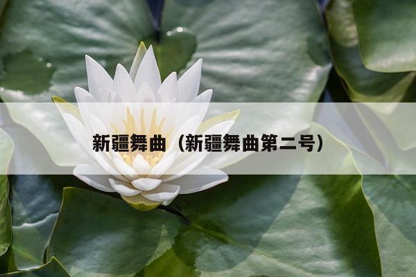 新疆舞曲（新疆舞曲第二号）