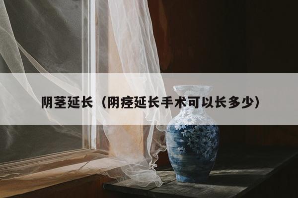 阴茎延长（阴痉延长手术可以长多少）