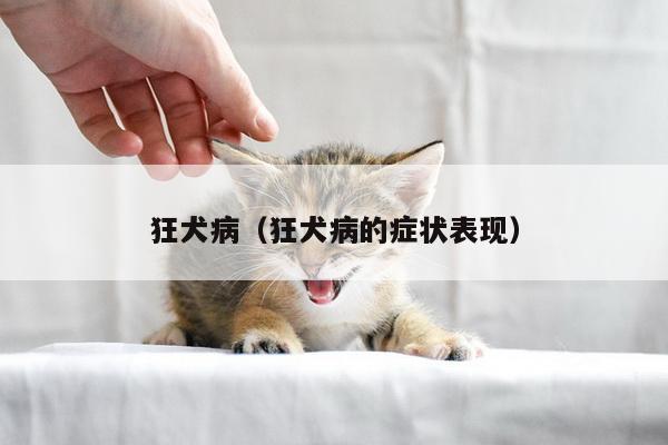 狂犬病（狂犬病的症状表现）