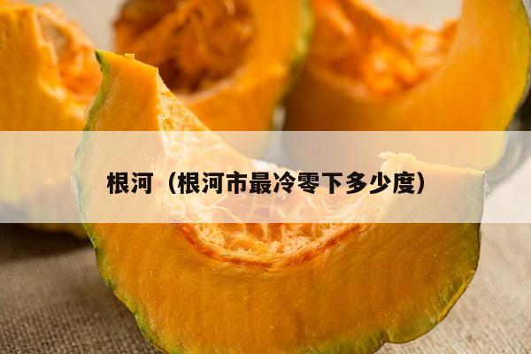 根河（根河市最冷零下多少度）