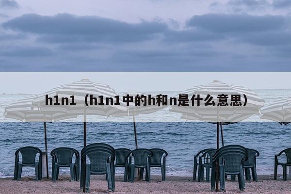 h1n1（h1n1中的h和n是什么意思）